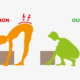 Comment porter un carton chiropraxie