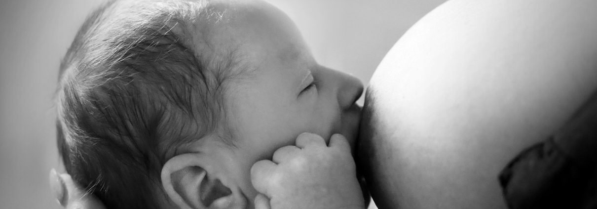 bébé qui prend le sein